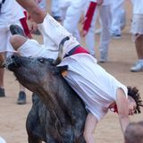Die Hörner sind gekappt, so dass sie nicht mehr so gefährlich sind. Blaue Flecken und gebrochene Knochen kann es dennoch geben.