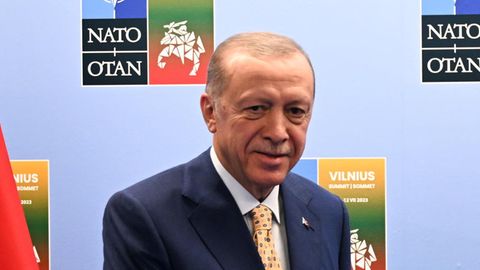 Der türkische Präsident Recep Tayyip Erdogan vor dem Nato-Gipfel