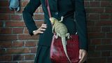 Auf der roten Handtasche einer Frau sitzt eine grüne Echse