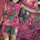 Eine Frau im pinken Kleid liegt auf dem Bett, um sich herum mehr als ein Dutzend Schildkröten
