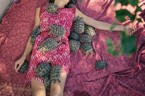 Eine Frau im pinken Kleid liegt auf dem Bett, um sich herum mehr als ein Dutzend Schildkröten