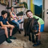 Drei Geschwister freuen sich in ihrem Wohnzimmer über ihr Pony