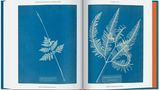 Im Oktober 1843 war der erste Teil des Albums British Algae, den sie ihrem Vater widmete, in einer Auflage von etwa 15 Exemplaren fertiggestellt. Über 450 Cyanotypien verschiedener Algen belichtete Atkins für dieses erste Werk. Allein der Umfang dieser Produktion macht sie zur bedeutendsten Anwenderin der Cyanotypie überhaupt.