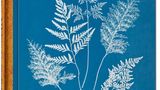 "Anna Atkins. Cyanotypes", Hardcover im Schuber, Hardcover im Schuber, erschienen im Taschen Verlag. Preis 100 Euro. 