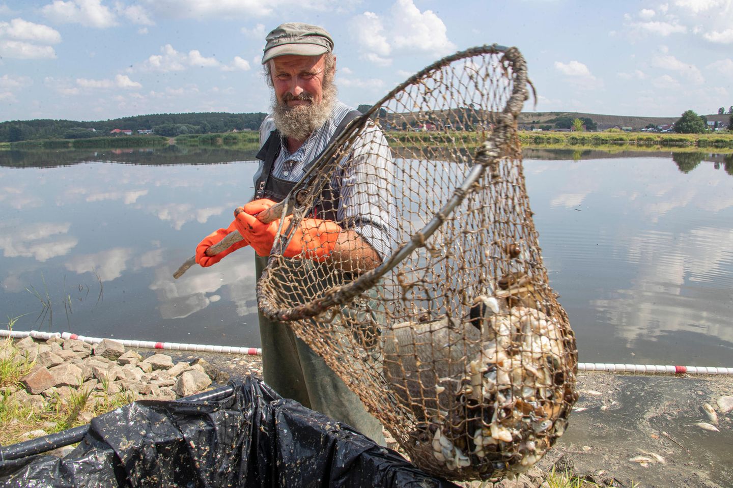 Fischer holt mit Netz tote Fische aus der Oder