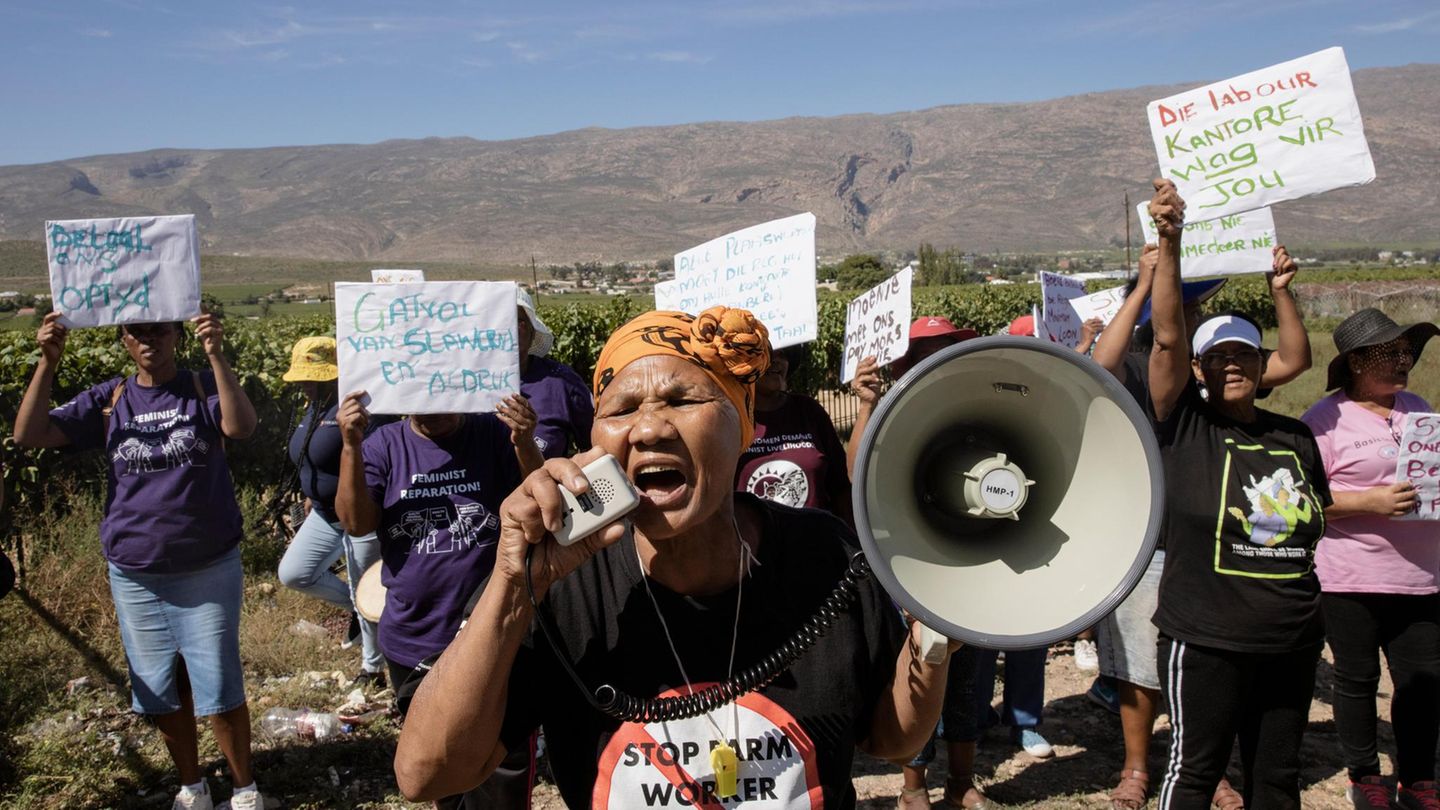 Bettie Fortuin auf einer Protestaktion vom Women on Farms Project vor der Matroosberg Farm in De Doorns