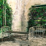 Zwei Krankenhausbetten, karge Mauern mit Fenstern und Pflanzen