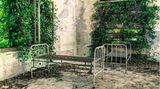 Zwei Krankenhausbetten, karge Mauern mit Fenstern und Pflanzen