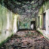 Gang mit Ästen überdacht und alten kaputten Fenstern