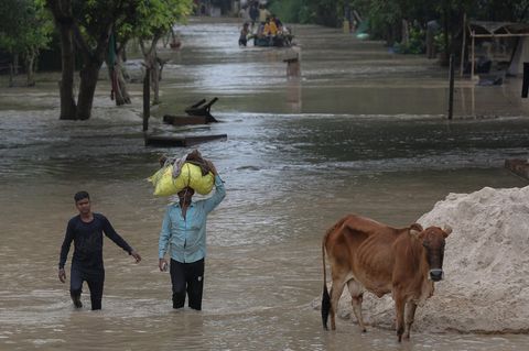 Indien, Neu-Delhi: Eine Person trägt ihr Hab und Gut und watet durch überschwemmtes, tief liegendes Gebiet