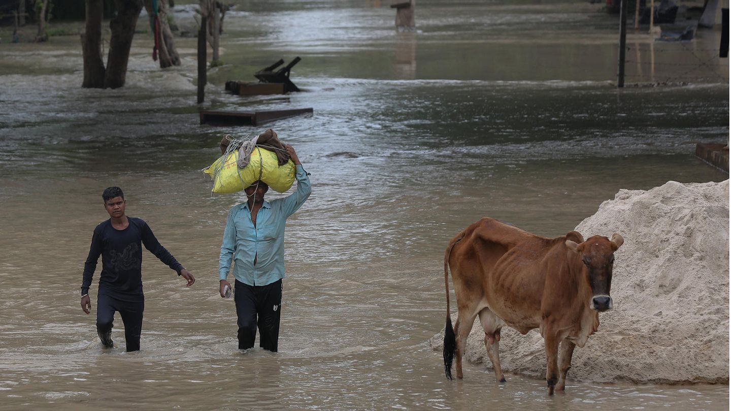 Indien, Neu-Delhi: Eine Person trägt ihr Hab und Gut und watet durch überschwemmtes, tief liegendes Gebiet