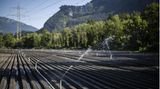 Ein Feld im Kanton St. Gallen wird bewässert. Meteo Schweiz, der nationale Wetterdienst der Eidgenossen, warnt in diesen Tagen vor einer Hitzewelle.