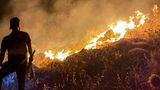 Ein Mann beobachtet während einer Hitzewelle loderndes Feuer auf einem Hügel in der südlibanesischen Stadt Ibl al-Saqi.