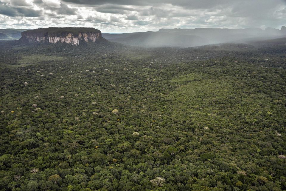 The jungle in the province of Caquetá