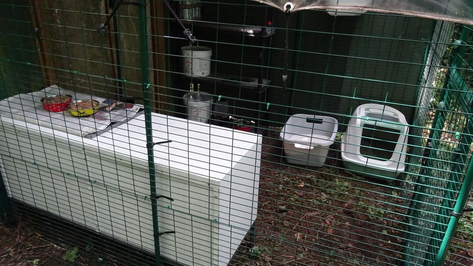 Futter, Katzentoiletten und viel Platz im mobilen Gehege