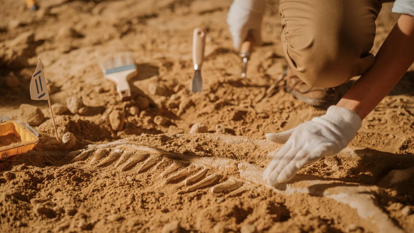 Eine archäologische Ausgrabung (Symbolbild)