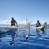 Auf klapprigen Holzbooten fahren die Männer auf den Ozean hinaus, um Haie zu bezirzen. In der Nacht zuvor haben sie uralte spirituelle Lieder zu Ehren der faszinierenden Raubfische gesungen, haben gefastet und sich vorbereitet. Der Ort Kono in Papua-Neuguinea feiert wieder sein auf der Welt einmaliges "Shark Calling Festival". Drei Tage lang dreht sich alles um die Kunst, Haie zu verführen.