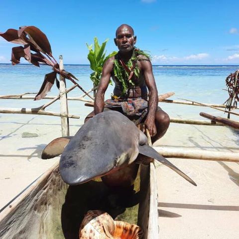 Diese Fischerei-Tradition existiere schon ewig, ungefähr seit die ersten Menschen diesen Teil der Welt bevölkert haben. "Haie sind extrem wichtig in unserer Kultur", sagt Merebo. "Niemand anderes ruft sie, nur wir tun das." Die Tradition, die es vor allem in den Dörfern Kono, Messi und Kontu gibt, wird von Generation zu Generation weitergegeben, von den Vätern an ihre Söhne. Bedroht wird das "Shark-Calling" aber durch den Klimawandel und den Tiefseebergbau.