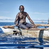 Jeder "Shark Caller" paddelt allein hinaus auf die Bismarcksee. Einige Kilometer vom Ufer entfernt beginnen die Männer schließlich zu singen und unter Wasser mit Rasseln aus Kokosnüssen zu schlagen. Angelockt werden zumeist keine harmlosen Riffhaie, sondern Bullenhaie etwa, oft auch die bis zu dreieinhalb Meter langen Zitronenhaie.