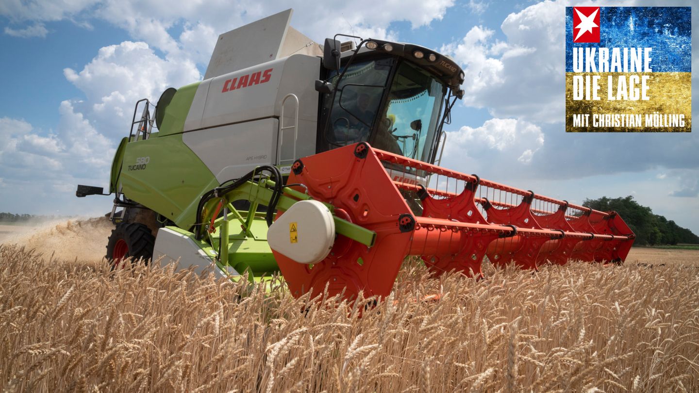 Ein ukrainischer Bauer drischt Weizen auf seinem Feld