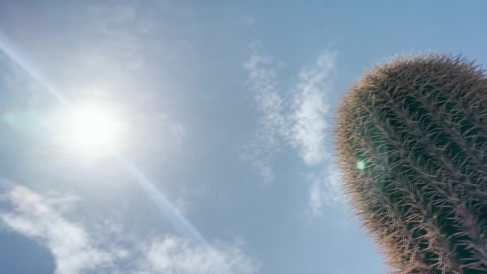 Video: Phoenix bricht laut US-Wetterdienst mehrere Hitzerekorde