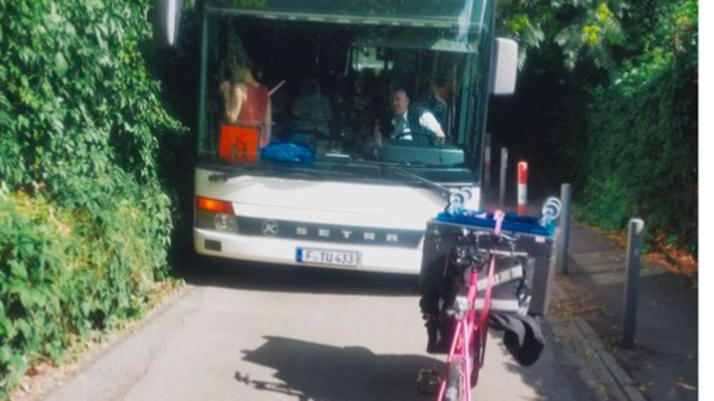 Cargo bike blocks school bus and the network boils over