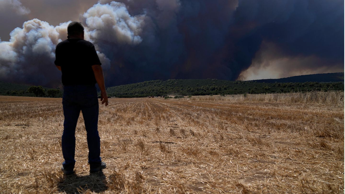 Ein Mann steht auf einem Feld in Inoi und betrachtet den Rauch eines Feuers in der Nähe von Athen. Den dritten Tag in Folge kämpfen Feuerwehrleute in Griechenland gegen drei große Feuerfronten an
