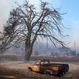 Hier ist nichts mehr zu retten: Ein beschädigtes Auto steht vor einem verbrannten Baum in der Nähe von Loutraki. Der griechische Meteorologe Theodoros Giannaros vom Nationalen Observatorium Athen hat am Mittwoch davor gewarnt, dass die Situation mit Hitze, Trockenheit und Bränden in Griechenland noch schlimmer werde. Man stehe ab Donnerstag vor einer neuerlichen Hitzewelle, die ihren Höhepunkt am Wochenende erreiche und örtlich für bis zu 44 Grad sorgen werde.