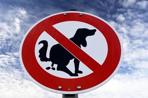 Schild verbietet Hunde