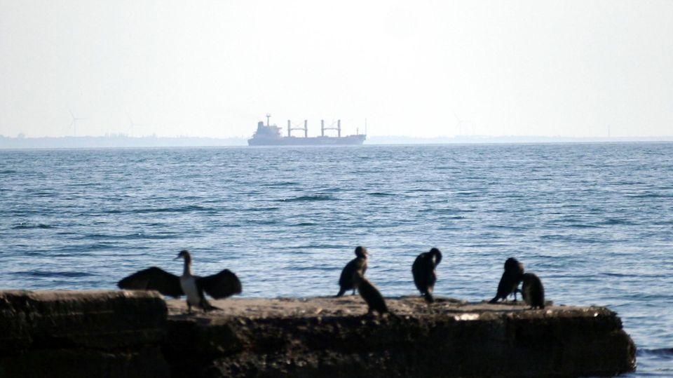 Ein Massengutfrachter verlässt den Hafen von Odessa in der Südukraine