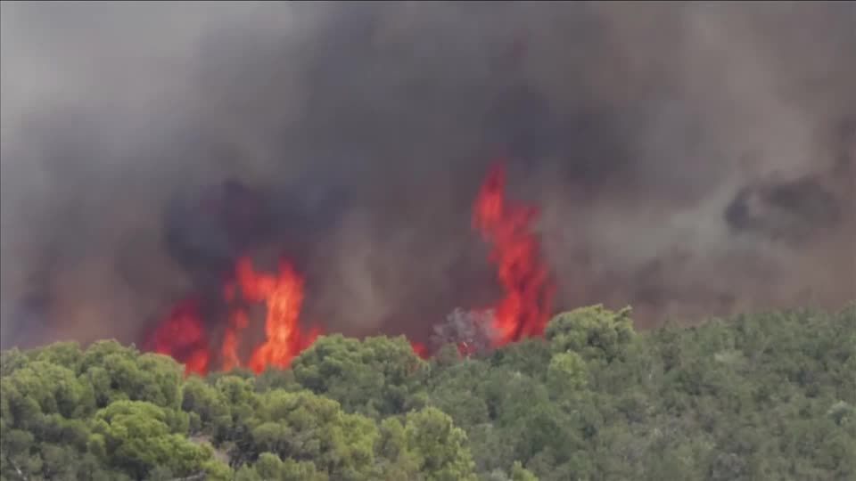 Video: Waldbrände in Griechenland - Kampf an mehreren Fronten