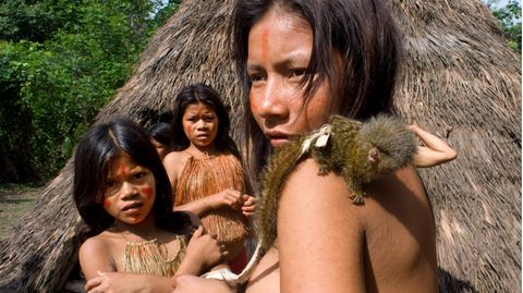 Drei indigene Kinder mit einem Äffchen