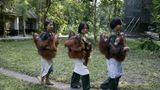 Orangutan-Rehabilitationszentrum Nyaru Menteng