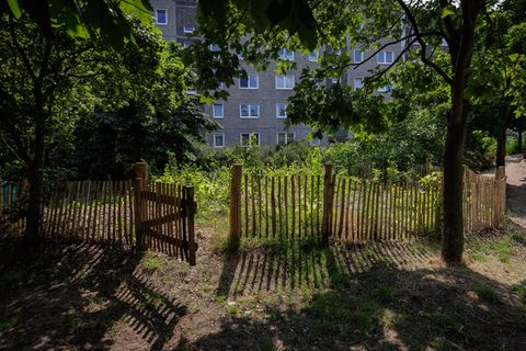 Tiny Forest in Potsdam