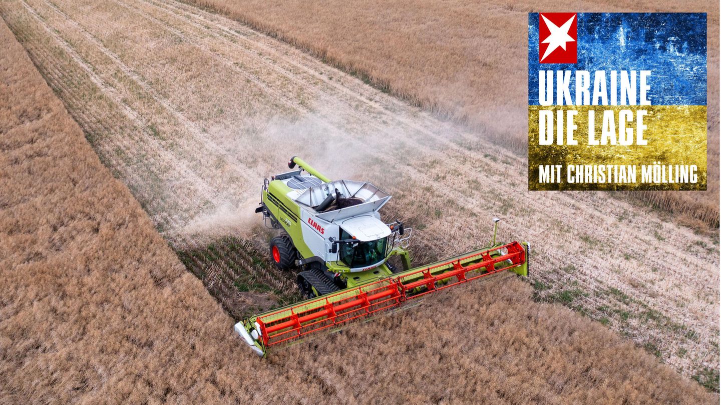 Grain agreement: Security expert Mölling believes Russia is ready to negotiate