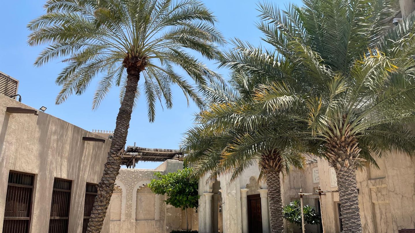 Auch die Palmen auf dem Museumsgelände sind natürlich – das klingt im ersten Moment nach einer Selbstverständlichkeit, ist in Dubai allerdings eher selten. Die meisten Grünanlagen, auch die Palmen an den Stränden, sind mindestens künstlich angelegt. 