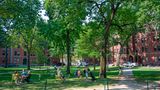 Die Harvard University