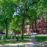 Die Harvard University