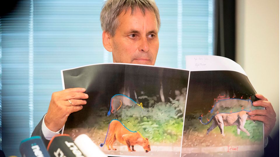 Michael Grubert, Bürgermeister von Kleinmachnow, bei einem Pressegespräch