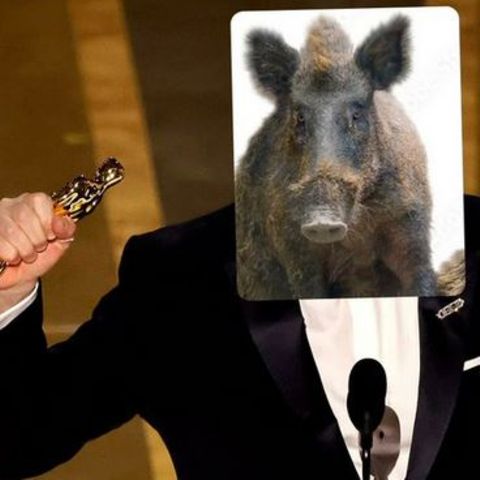 Ein Wildschwein auf einer Fotomontage
