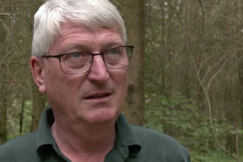 Förster schlägt Alarm: "Solche Bilder wie hier, die machen traurig"