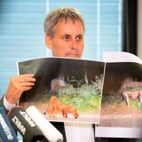 Die Berliner Löwin. Simba oder doch eher Pumba? Im Juli 2023 sollte in Berlin und Brandenburg eine freilaufende Raubkatze unterwegs gewesen sein, eine Löwin – zumindest vermuteten das die Zuständigen und lösten Alarm aus. Ein nur wenige Sekunden langes Handyvideo sollte die mutmaßliche Löwin zeigen. Mehr als 30 Stunden lang suchten Dutzende Polizisten unterstützt von Jägern und Tierärzten die Großkatze. Gefunden wurde sie nicht. Es folgte die Entwarnung: Die vermeintliche Löwin, die in Kleinmachnow gesichtet worden sein soll, ist wohl doch nur ein Wildschwein. Ganz glauben wollen das aber nicht alle. "Wenn man das Video, wie die Behörden, als echt einstuft, sieht man: Das Tier darin hat einen kurzen runden Kopf und runde Ohren – wie der Kopf einer Raubkatze", zweifelt beispielsweise die Potsdamer Tierärztin Michaela Ebeling gegenüber der Märkischen Allgemeinen an der Wildschwein-Theorie. Auf dem Bild zu sehen ist Michael Grubert, der Bürgermeister von Kleinmachnow.