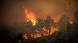Flammen sind bei einem großen Waldbrand auf der griechischen Insel Rhodos zu sehen
