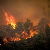 Flammen sind bei einem großen Waldbrand auf der griechischen Insel Rhodos zu sehen