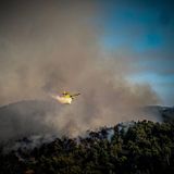 Löschflugzeuge aus der Türkei und Ägypten unterstützen die lokale Feuerwehr bei ihrem schweren Einsatz