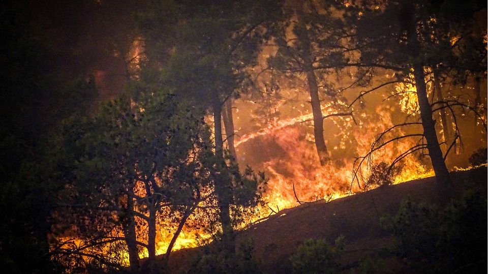 Waldbrand Rhodos