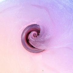 Waschbeckenabfluss mit Wasserstrudel