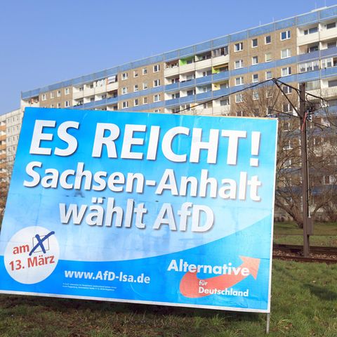 Vor allem im Osten feiert die AfD Erfolge in Umfragen und Wahlen