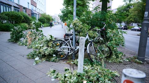 Am Morgen nach dem Unwetter liegt noch ein Ast über den Fahrrad und Gehweg in Berlin Mitte
