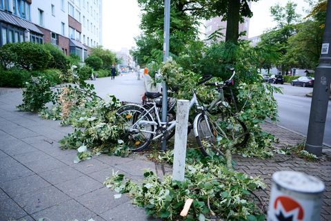 Am Morgen nach dem Unwetter liegt noch ein Ast über den Fahrrad und Gehweg in Berlin Mitte